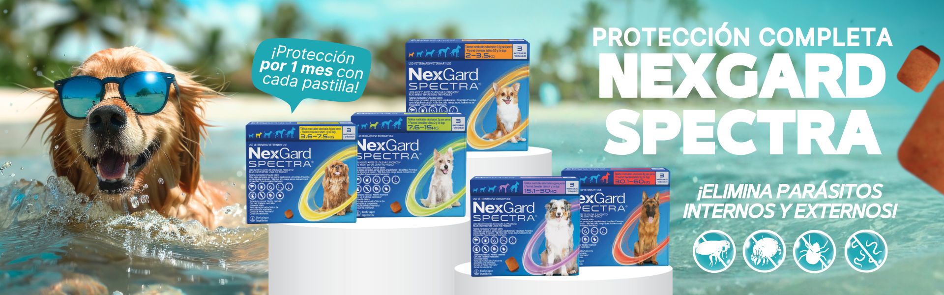 BANNER CATEGORIA (3) (1)