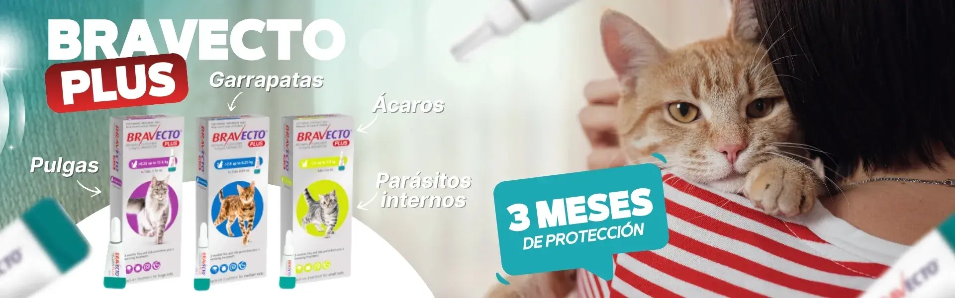 Banner publicitario de Bravecto Plus para gatos que muestra protección contra pulgas, garrapatas, ácaros y parásitos internos por 3 meses, disponible en nuestra tienda de mascotas online.
