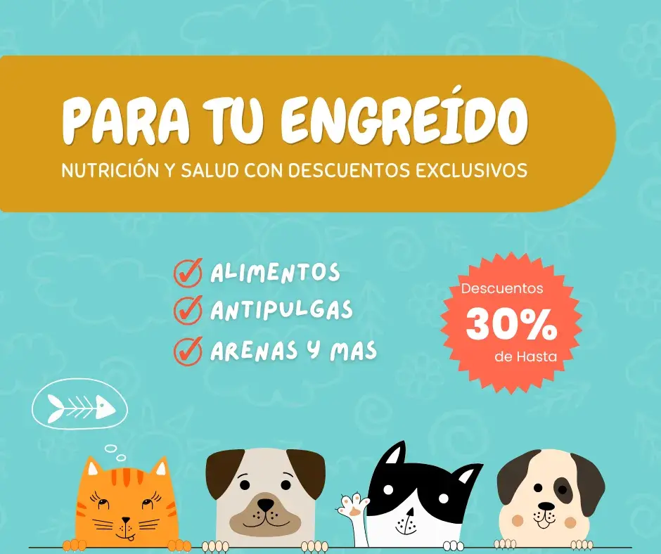 Banner cuadrado de Rankana con ofertas para mascotas: 30% de descuento en alimentos, antipulgas y arenas.