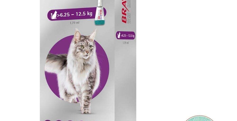 Bravecto Plus de 6.25 a 12 kg x 1 pipeta. Protección interna y externa para gatos.