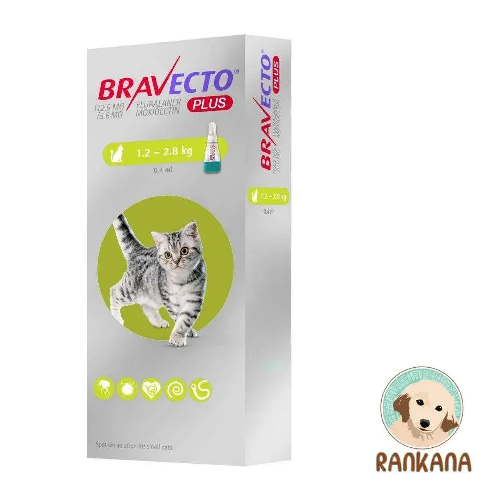 Bravecto Plus Gato de 1.2 a 2.8 kg x 1 Pipeta Bravecto Plus para gatos de 1.2 a 2.8 kg pipeta antiparasitaria