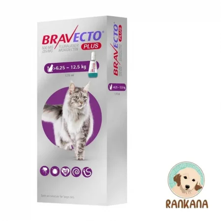 Bravecto Plus para gatos de 6.25 a 12.5 kg pipeta antiparasitaria