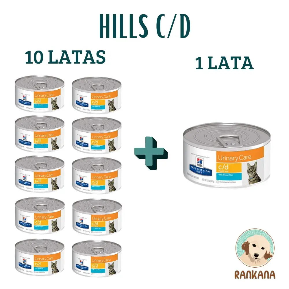 Hills C/D Gato Urinary Care 10 + 1 Latas 156g Vista de un paquete promocional de 11 latas de alimento húmedo Hills Prescription Diet C/D Multicare Urinary Care sabor Pescado de Océano para gatos (lata individual de 156 g). A la izquierda, un grupo de 10 latas. A la derecha, una lata individual más grande. Un signo más (+) las conecta. Texto '10 LATAS', '1 LATA' y 'HILLS C/D'. Logo de Rankana en la esquina inferior derecha.