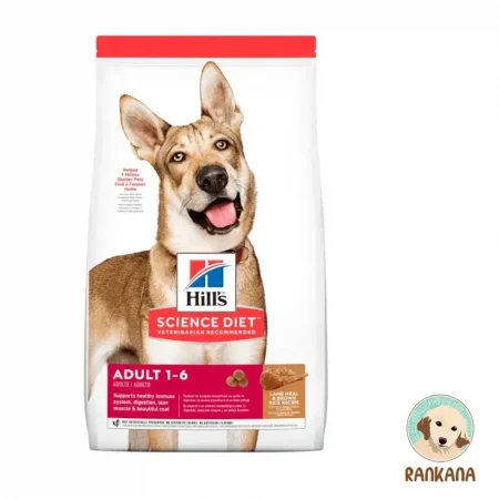 Bolsa de Hill's Science Diet Adulto Cordero y Arroz para todas las razas, 15 kg. Comida premium para perros adultos.