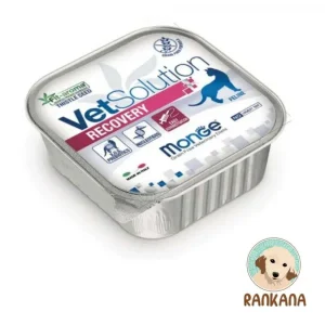Tina de alimento húmedo medicado Monge VetSolution Recovery para gatos en recuperación o convalecencia, formato de 100 g. La etiqueta muestra el logo de VetSolution para felinos y el beneficio Fit-aroma Thistle Seed (Semilla de Cardo Mariano).