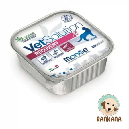 Tina de alimento húmedo medicado Monge VetSolution Recovery para gatos en recuperación o convalecencia, formato de 100 g. La etiqueta muestra el logo de VetSolution para felinos y el beneficio Fit-aroma Thistle Seed (Semilla de Cardo Mariano).
