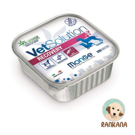 Tina de alimento húmedo medicado Monge VetSolution Recovery para perros en recuperación o convalecencia, formato de 150 g. La etiqueta muestra el logo de VetSolution y el beneficio Fit-aroma Thistle Seed (Semilla de Cardo Mariano).