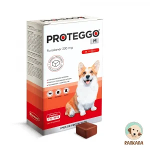 Caja de Proteggo 1M para perros de 10 a 20 kg con 1 tableta masticable, antipulgas y garrapatas de protección mensual (Fluralaner 200 mg) en Perú.