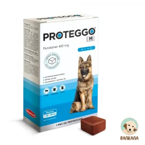 Caja de Proteggo 1M para perros de 20 a 40 kg con 1 tableta masticable, antipulgas y garrapatas de protección mensual (Fluralaner 400 mg) en Perú.