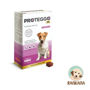 Caja de Proteggo 3M para perros de 4.5 a 10 kg con 1 tableta masticable, antipulgas y garrapatas de protección trimestral (Fluralaner 250 mg) en Perú.