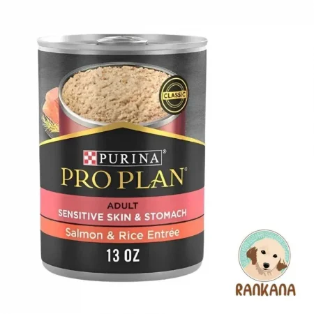 Lata de 368.5 g (13 oz) de Purina Pro Plan Adulto Sensitive Skin & Stomach Salmón & Rice Entrée, alimento húmedo hipoalergénico con Omega 3 y 6 para la piel y digestión.