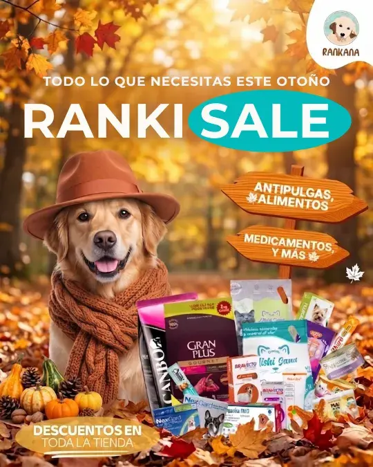 Perro con sombrero y bufanda de otoño junto a alimentos, antipulgas y medicamentos para mascotas en promoción por el Ranki Sale de Rankana.