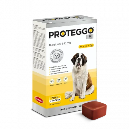 Caja de Proteggo 1M para perros de 40 a 56 kg con 1 tableta masticable, antipulgas y garrapatas de protección mensual (Sarolaner) en Perú.
