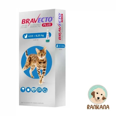 Caja de Bravecto Plus Gato Medium (2.8 - 6.25 kg) con pipeta antipulgas y antigarrapatas, producto de Rankana Pet Shop.
