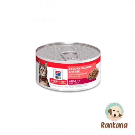 hills gato adulto salmon 156 g alimento humedo para gatos.