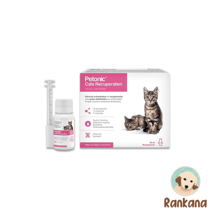 petonic gatos 55 ml recuperacion apetito energia suplemento