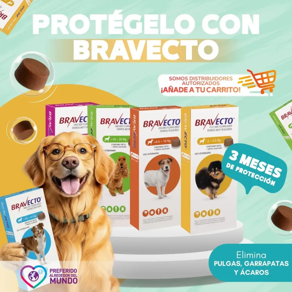 Imagen publicitaria de Bravecto antipulgas para perros de diferentes tamaños, mostrando una pastilla masticable y 3 meses de protección.