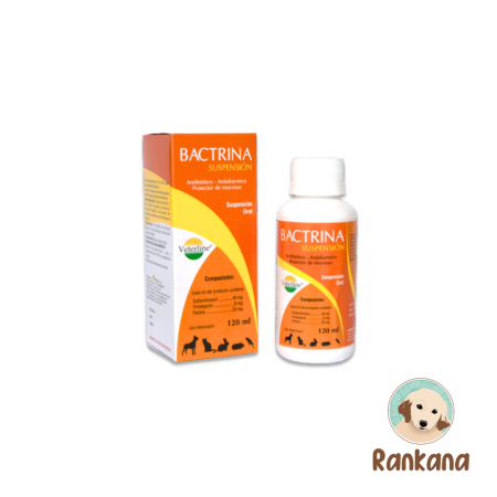 bactrina suspensión 60 ml antibacteriano veterinario