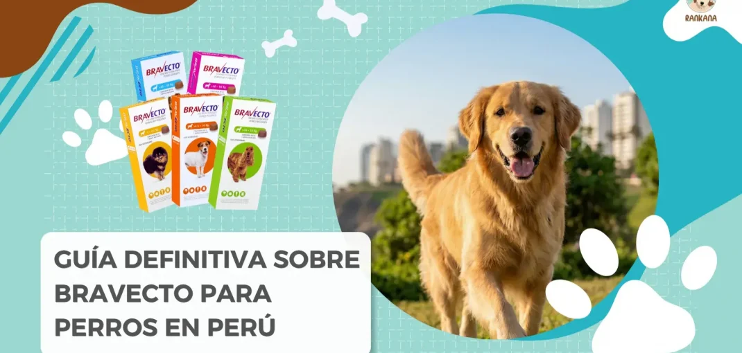 Portada de la guía definitiva sobre Bravecto para perros en Perú de Rankana, mostrando la variedad de cajas del antiparasitario y un Golden Retriever sonriendo en un parque.