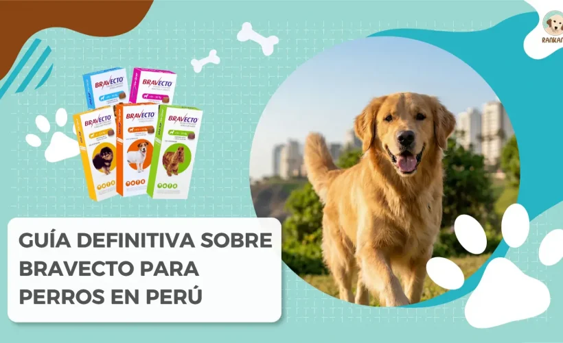 Portada de la guía definitiva sobre Bravecto para perros en Perú de Rankana, mostrando la variedad de cajas del antiparasitario y un Golden Retriever sonriendo en un parque.