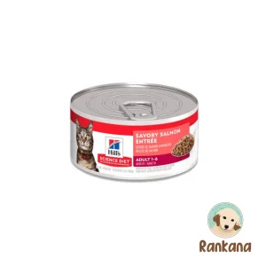 Lata de alimento húmedo premium para gatos adultos Hill's Science Diet Savory Salmon Entrée, 156 g. Muestra un gato y una cuchara con comida. Incluye el logo de Rankana.