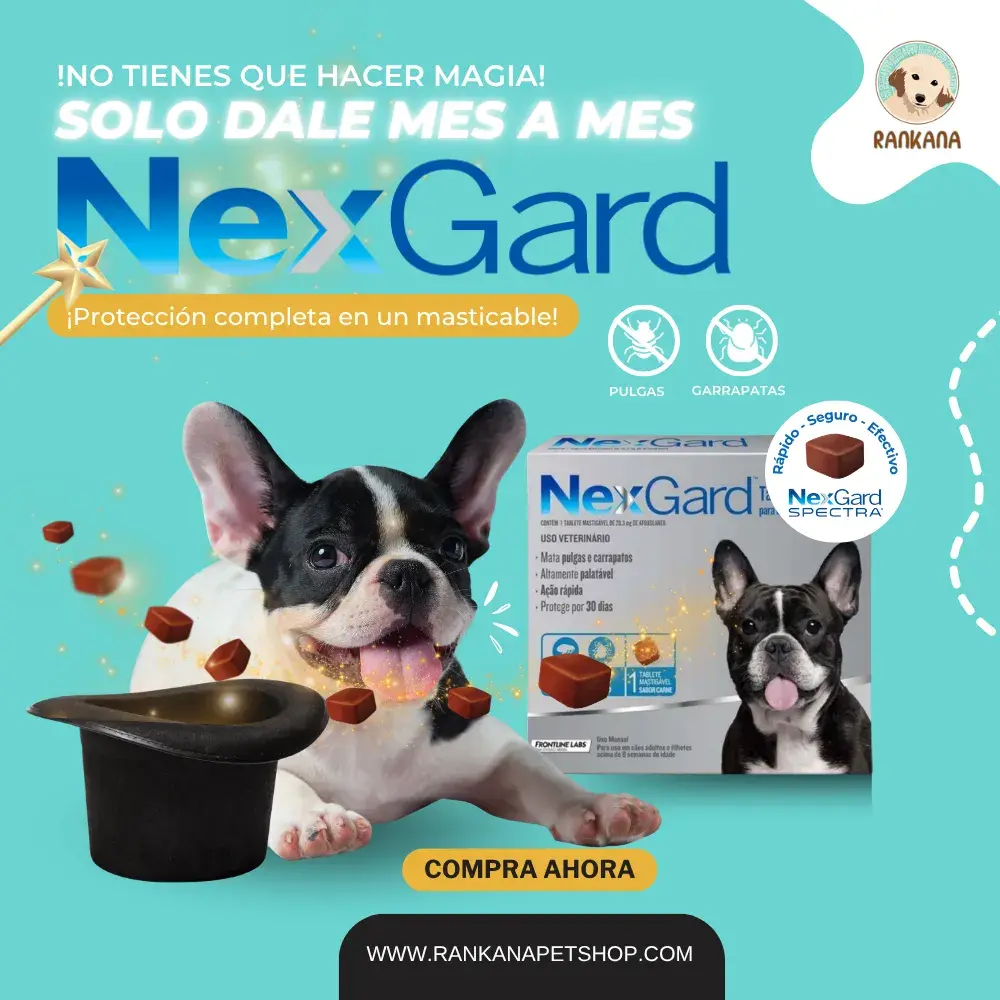 Anuncio publicitario de NexGard para perros en Rankana Pet Shop. Muestra un Bulldog Francés sacando masticables sabor carne de un sombrero de mago. Incluye iconos de protección contra pulgas y garrapatas, la caja del producto NexGard Spectra y el botón 'Compra Ahora'.