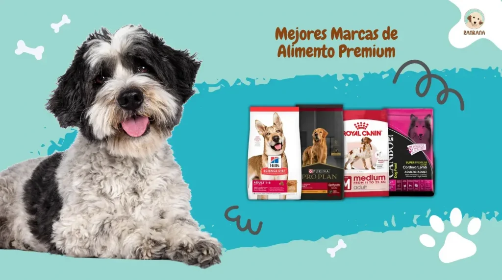 Variedad de sacos de alimento para perros de las marcas Hills, Purina Pro Plan, Royal Canin y Canbo en una tienda de mascotas en Perú.
