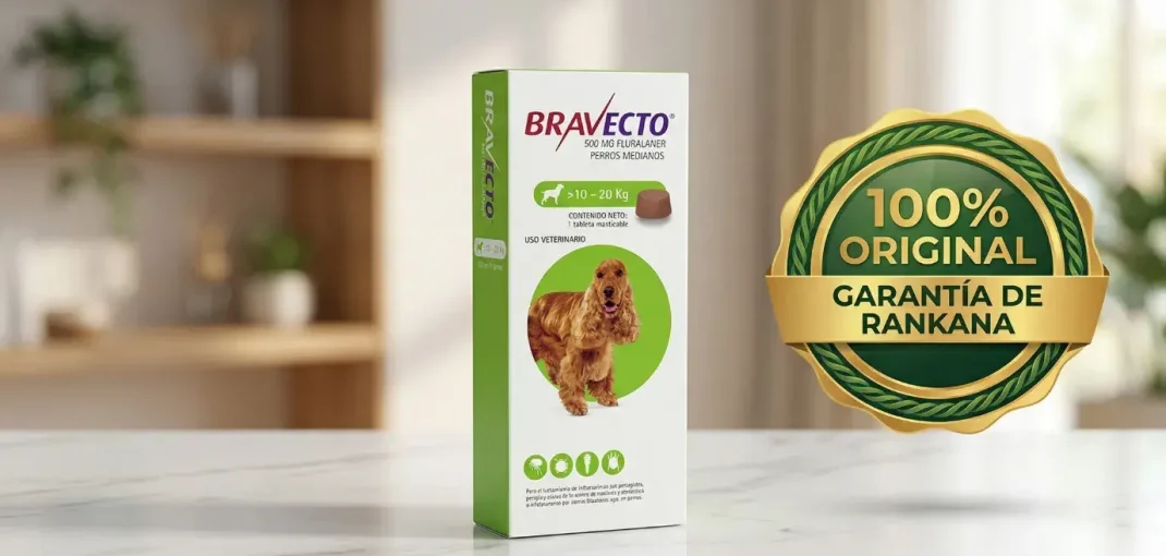 Caja verde de Bravecto para perros de 10 a 20 kg sobre fondo de hogar moderno con sello de garantía de originalidad Rankana.