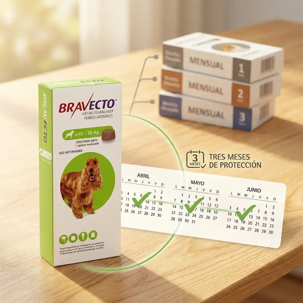 Caja de Bravecto para perros medianos (10-20 kg) sobre una mesa de madera, con un calendario que ilustra 3 meses completos de protección continua contra pulgas y garrapatas.
