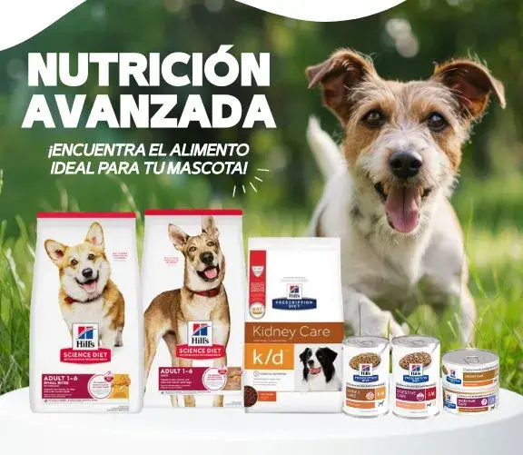 Variedad de alimentos Hill's Science Diet y Prescription Diet para perros en Rankana Perú.