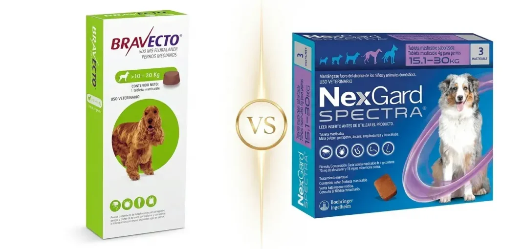 Una imagen de pantalla dividida profesional que compara una caja de Bravecto para perros medianos (>10-20 kg) a la izquierda y una caja de NexGard Spectra para perros medianos (15.1-30 kg) a la derecha. Ambas cajas tienen texto en español y fotos de perros (Cocker Spaniel y Pastor Australiano). Un círculo dorado en el centro contiene el texto "VS". El fondo es blanco limpio con iluminación de estudio de alta gama.