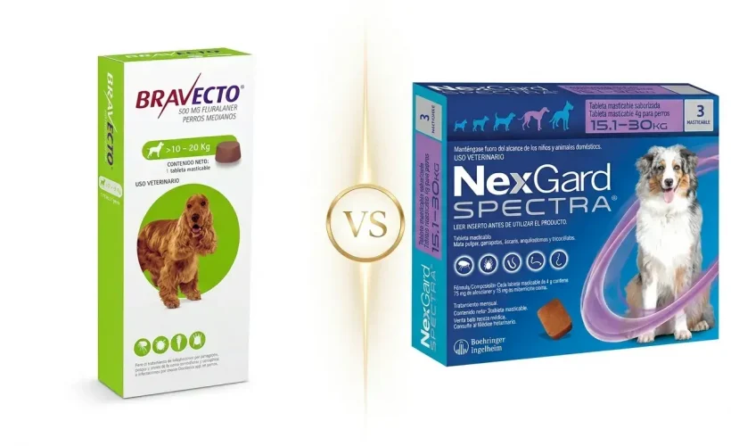 Una imagen de pantalla dividida profesional que compara una caja de Bravecto para perros medianos (>10-20 kg) a la izquierda y una caja de NexGard Spectra para perros medianos (15.1-30 kg) a la derecha. Ambas cajas tienen texto en español y fotos de perros (Cocker Spaniel y Pastor Australiano). Un círculo dorado en el centro contiene el texto "VS". El fondo es blanco limpio con iluminación de estudio de alta gama.