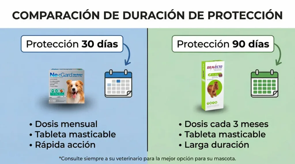 Una infografía comparativa titulada "COMPARACIÓN DE DURACIÓN DE PROTECCIÓN" entre dos antipulgas para perros. A la izquierda, sobre un fondo azul claro, se muestra NexGard con el texto "Protección 30 días", un icono de calendario mensual, y los puntos clave: "Dosis mensual", "Tableta masticable" y "Rápida acción". A la derecha, sobre un fondo verde claro, se muestra Bravecto con el texto "Protección 90 días", un icono de calendario trimestral, y los puntos clave: "Dosis cada 3 meses", "Tableta masticable" y "Larga duración". En la parte inferior, un texto en pequeño dice: "*Consulte siempre a su veterinario para la mejor opción para su mascota."