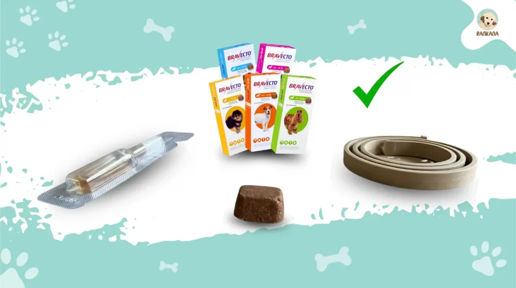 Infografía comparativa de diferentes formatos antiparasitarios para perros, por Rankana. En la parte superior, cajas de Bravecto con un gran aspa de verificación verde al lado. Abajo y a los lados, una pipeta en su blíster y un collar antiparasitario enrollado. En el centro, una pastilla masticable de Bravecto. El aspa verde resalta la opción recomendada.