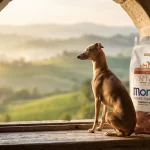 Fotografía premium de un Galgo Italiano sentado en un alféizar de ventana de piedra rústica, mirando un paisaje de colinas toscanas al amanecer. Junto a él, una bolsa de 2.5 kg de alimento para perros Monge Natural Superpremium All Breeds Salmon and Rice.