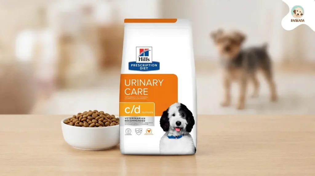 Bolsa original de alimento seco Hill's Prescription Diet c/d Multicare para perros con problemas urinarios, junto a un plato de cerámica con croquetas sobre una mesa de madera.