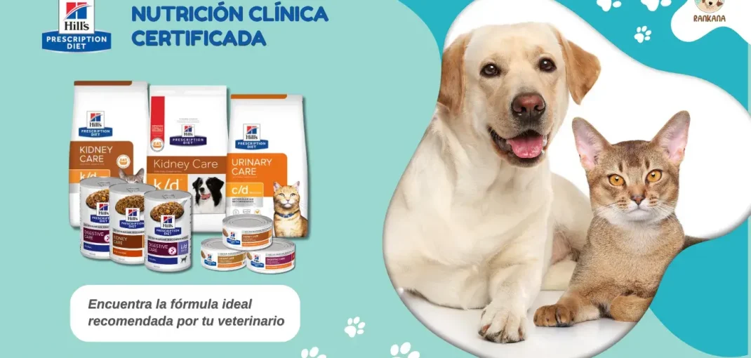 Imagen destacada de Rankana que muestra la nutrición clínica certificada de Hill's Prescription Diet para mascotas, con un perro labrador y un gato a la derecha, y una selección de alimentos c/d, i/d, k/d y a/d a la izquierda, junto con el texto 'Encuentra la fórmula ideal recomendada por tu veterinario'.