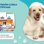 Imagen destacada de Rankana que muestra la nutrición clínica certificada de Hill's Prescription Diet para mascotas, con un perro labrador y un gato a la derecha, y una selección de alimentos c/d, i/d, k/d y a/d a la izquierda, junto con el texto 'Encuentra la fórmula ideal recomendada por tu veterinario'.