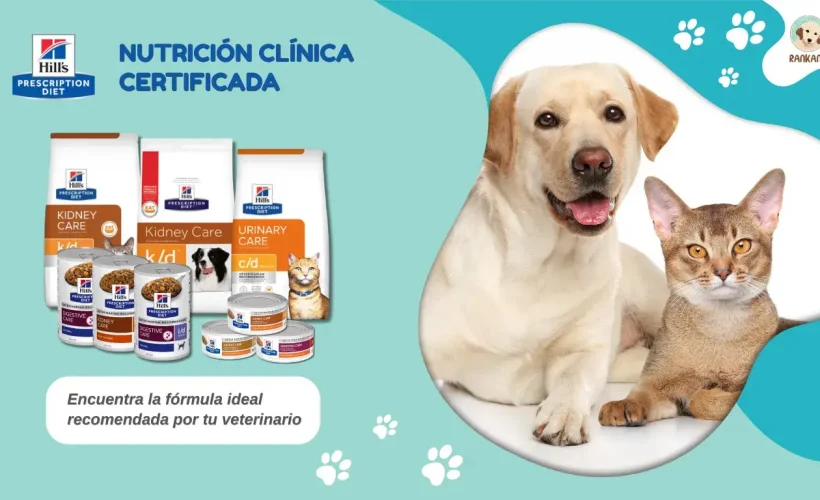 Imagen destacada de Rankana que muestra la nutrición clínica certificada de Hill's Prescription Diet para mascotas, con un perro labrador y un gato a la derecha, y una selección de alimentos c/d, i/d, k/d y a/d a la izquierda, junto con el texto 'Encuentra la fórmula ideal recomendada por tu veterinario'.
