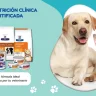 Imagen destacada de Rankana que muestra la nutrición clínica certificada de Hill's Prescription Diet para mascotas, con un perro labrador y un gato a la derecha, y una selección de alimentos c/d, i/d, k/d y a/d a la izquierda, junto con el texto 'Encuentra la fórmula ideal recomendada por tu veterinario'.