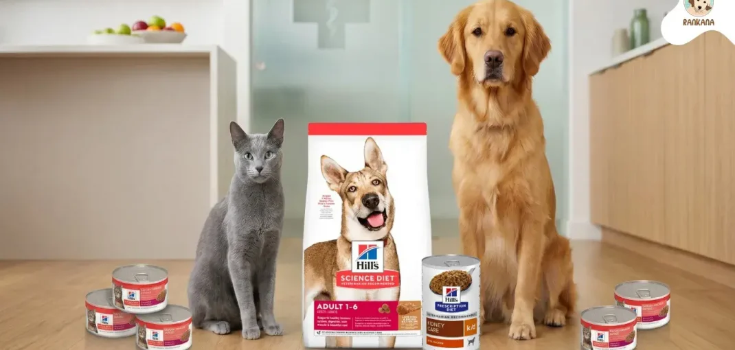 Gato gris y Golden Retriever sentados junto a productos Hill's Science Diet y Prescription Diet de comida seca y húmeda