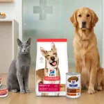 Gato gris y Golden Retriever sentados junto a productos Hill's Science Diet y Prescription Diet de comida seca y húmeda
