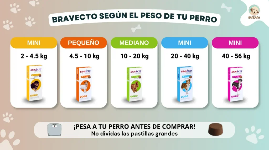 Infografía informativa sobre la dosificación de Bravecto según el peso del perro, por Rankana. Muestra cinco categorías con sus respectivas cajas y rangos de peso: Mini (2-4.5 kg, caja amarilla), Pequeño (4.5-10 kg, caja naranja), Mediano (10-20 kg, caja verde), Grande (20-40 kg, caja azul), y Muy Grande (40-56 kg, caja rosa). Incluye una advertencia de pesar al perro antes de comprar y no dividir las pastillas.