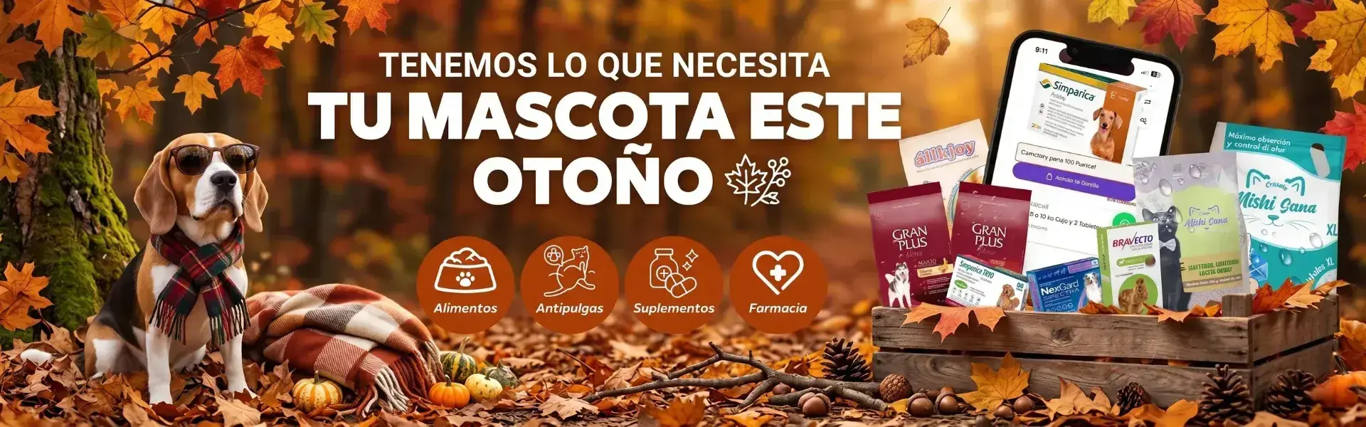 Perro Beagle con bufanda en un bosque otoñal rodeado de productos para mascotas como Bravecto, Simparica y Gran Plus.