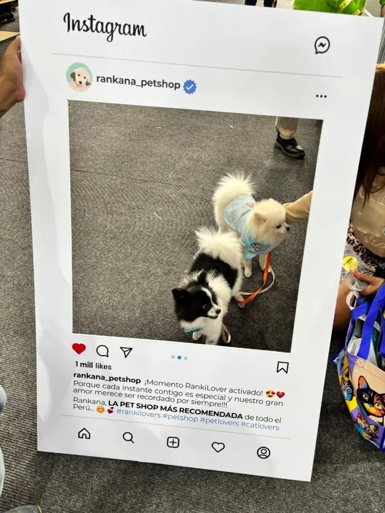 Dos perros Pomerania posando dentro del marco de Instagram de Rankana Pet Shop en una feria de mascotas.
