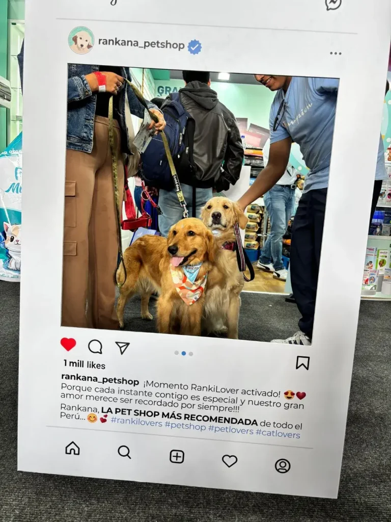 Dos perros Golden Retriever con pañoletas de Rankana posando frente al marco de redes sociales en un evento para mascotas.